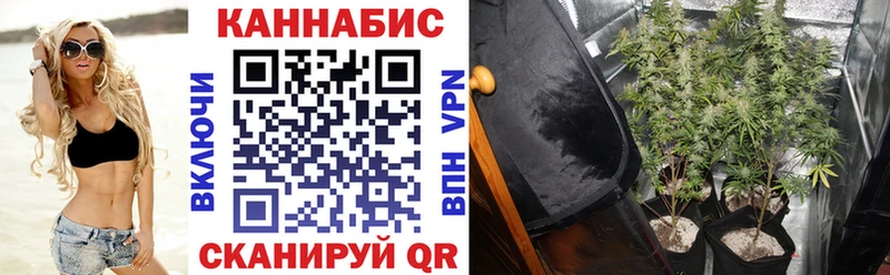 Каннабис ГИДРОПОН Купить Луза